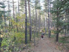 photo coins arrondis